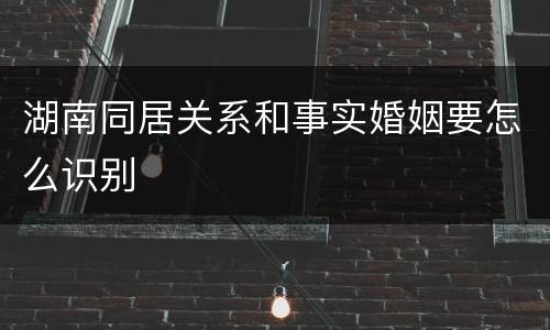 湖南同居关系和事实婚姻要怎么识别