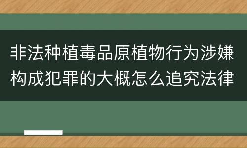 非法种植毒品原植物行为涉嫌构成犯罪的大概怎么追究法律责任