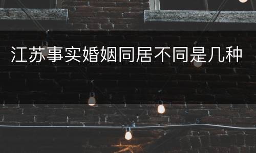 江苏事实婚姻同居不同是几种