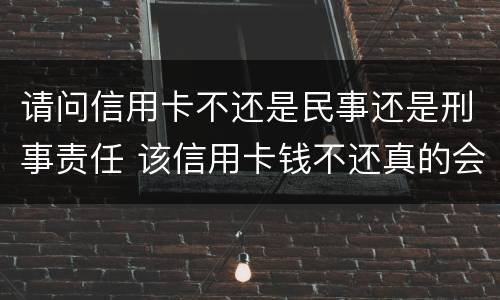 请问信用卡不还是民事还是刑事责任 该信用卡钱不还真的会坐牢吗