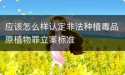 应该怎么样认定非法种植毒品原植物罪立案标准