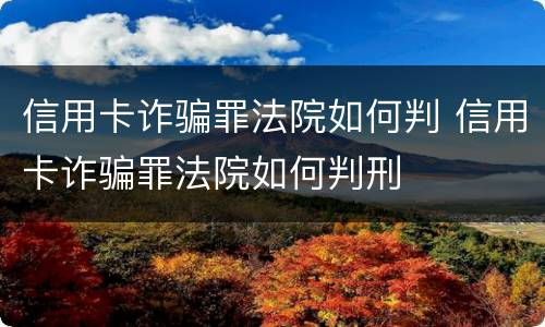 信用卡诈骗罪法院如何判 信用卡诈骗罪法院如何判刑