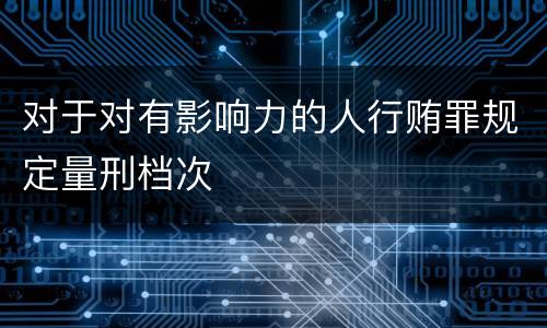 对于对有影响力的人行贿罪规定量刑档次