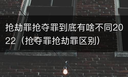 抢劫罪抢夺罪到底有啥不同2022（抢夺罪抢劫罪区别）