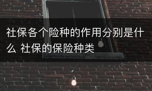 社保各个险种的作用分别是什么 社保的保险种类
