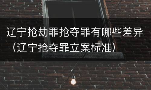 辽宁抢劫罪抢夺罪有哪些差异（辽宁抢夺罪立案标准）