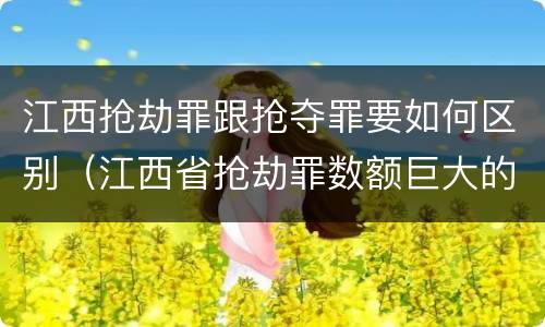 江西抢劫罪跟抢夺罪要如何区别（江西省抢劫罪数额巨大的标准）