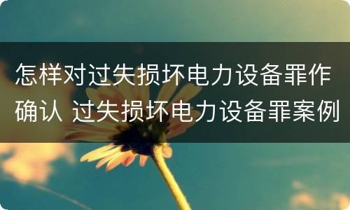 怎样对过失损坏电力设备罪作确认 过失损坏电力设备罪案例