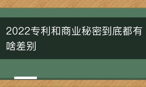 2022专利和商业秘密到底都有啥差别