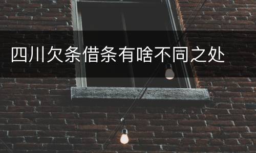 四川欠条借条有啥不同之处