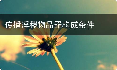 传播淫秽物品罪构成条件