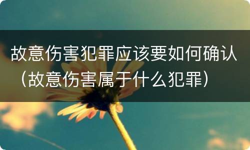 故意伤害犯罪应该要如何确认（故意伤害属于什么犯罪）