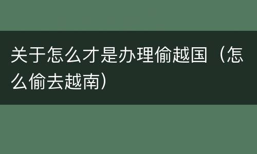 关于怎么才是办理偷越国（怎么偷去越南）
