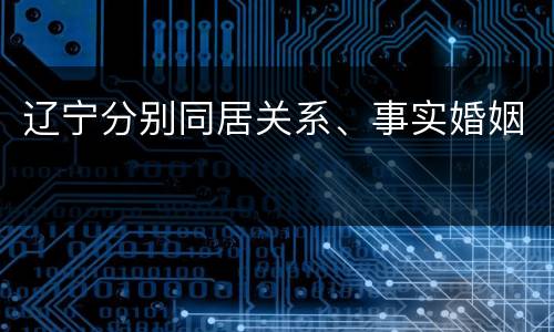 辽宁分别同居关系、事实婚姻