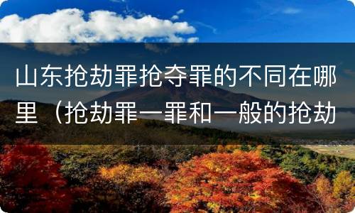 山东抢劫罪抢夺罪的不同在哪里（抢劫罪一罪和一般的抢劫罪）