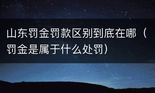 山东罚金罚款区别到底在哪（罚金是属于什么处罚）