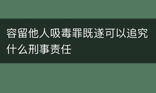 容留他人吸毒罪既遂可以追究什么刑事责任