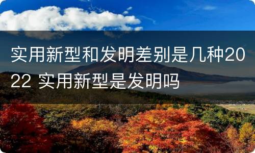 实用新型和发明差别是几种2022 实用新型是发明吗