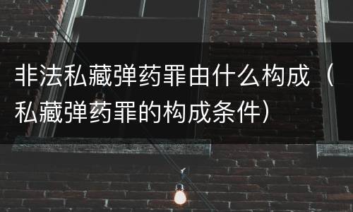 非法私藏弹药罪由什么构成（私藏弹药罪的构成条件）