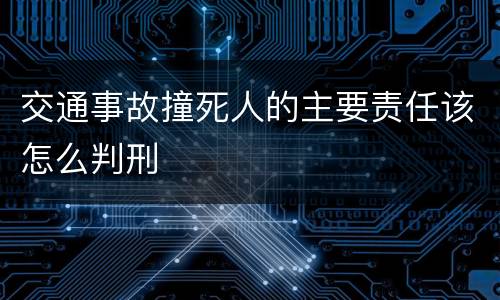 交通事故撞死人的主要责任该怎么判刑