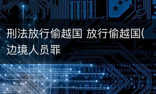 刑法放行偷越国 放行偷越国(边境人员罪