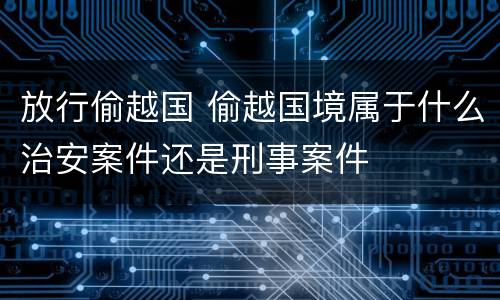 放行偷越国 偷越国境属于什么治安案件还是刑事案件