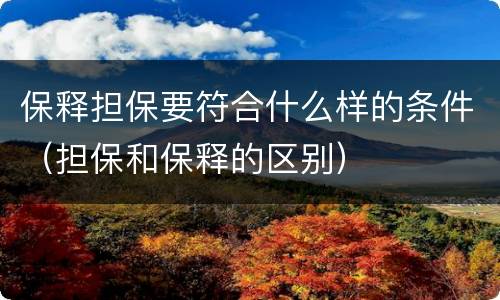 保释担保要符合什么样的条件（担保和保释的区别）