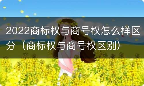 2022商标权与商号权怎么样区分（商标权与商号权区别）