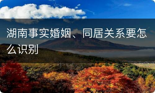 湖南事实婚姻、同居关系要怎么识别