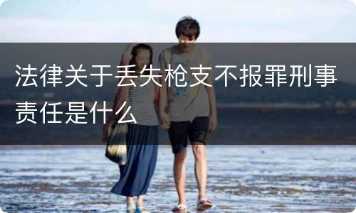 法律关于丢失枪支不报罪刑事责任是什么