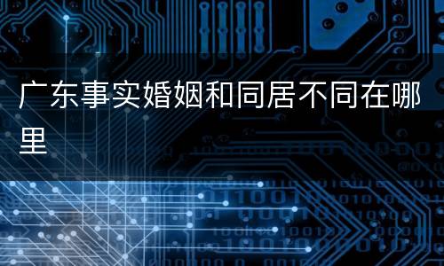 广东事实婚姻和同居不同在哪里