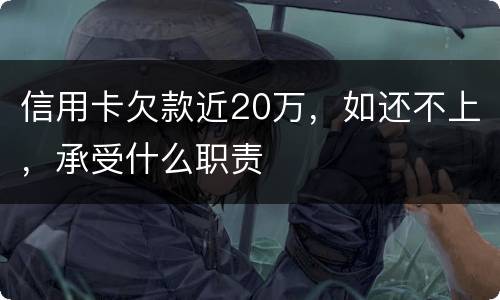 信用卡欠款近20万，如还不上，承受什么职责