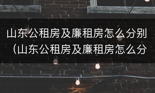 山东公租房及廉租房怎么分别（山东公租房及廉租房怎么分别的）
