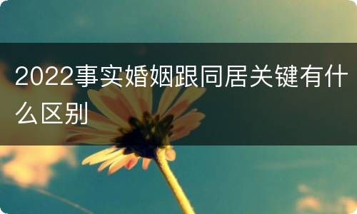 2022事实婚姻跟同居关键有什么区别