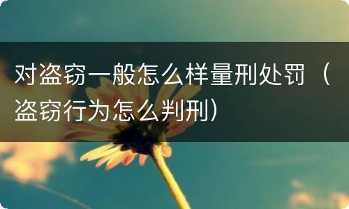 对盗窃一般怎么样量刑处罚（盗窃行为怎么判刑）