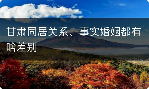 甘肃同居关系、事实婚姻都有啥差别