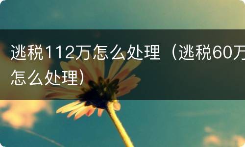 逃税112万怎么处理（逃税60万怎么处理）