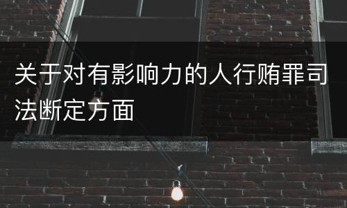 关于对有影响力的人行贿罪司法断定方面