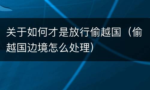 关于如何才是放行偷越国（偷越国边境怎么处理）