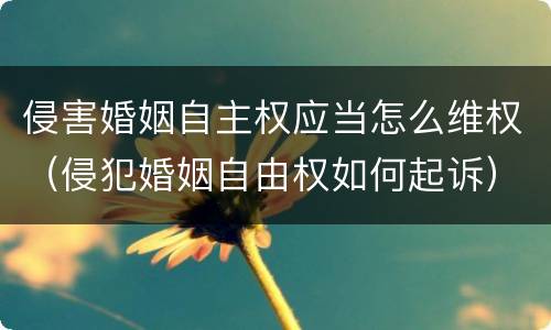 侵害婚姻自主权应当怎么维权（侵犯婚姻自由权如何起诉）