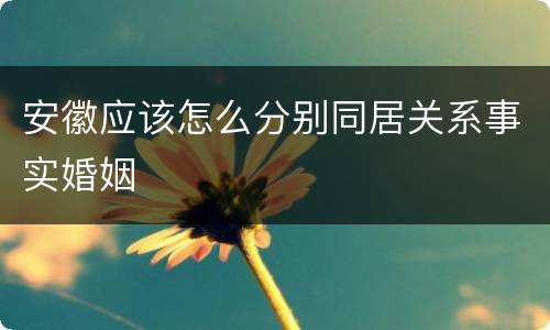 安徽应该怎么分别同居关系事实婚姻