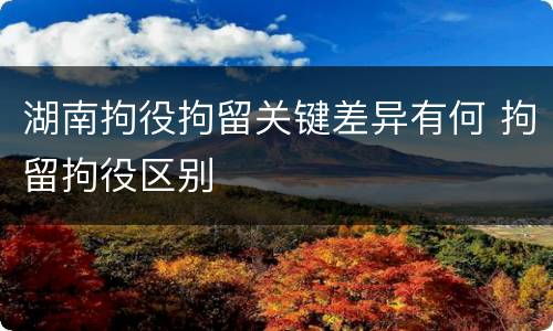 湖南拘役拘留关键差异有何 拘留拘役区别