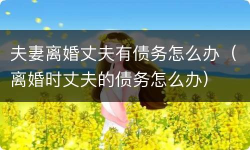 夫妻离婚丈夫有债务怎么办（离婚时丈夫的债务怎么办）