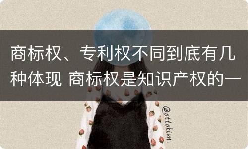 商标权、专利权不同到底有几种体现 商标权是知识产权的一种吗