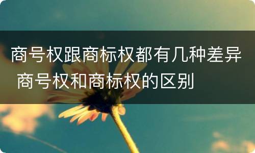 商号权跟商标权都有几种差异 商号权和商标权的区别