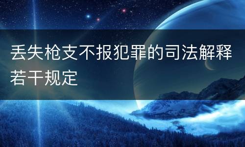 丢失枪支不报犯罪的司法解释若干规定