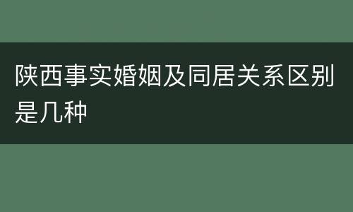 陕西事实婚姻及同居关系区别是几种