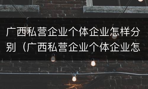 广西私营企业个体企业怎样分别（广西私营企业个体企业怎样分别纳税）