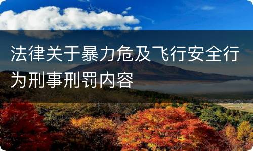 法律关于暴力危及飞行安全行为刑事刑罚内容