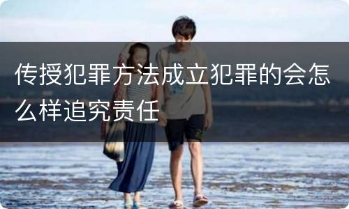 传授犯罪方法成立犯罪的会怎么样追究责任